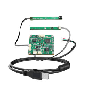 Dual independent directional pickup microphones